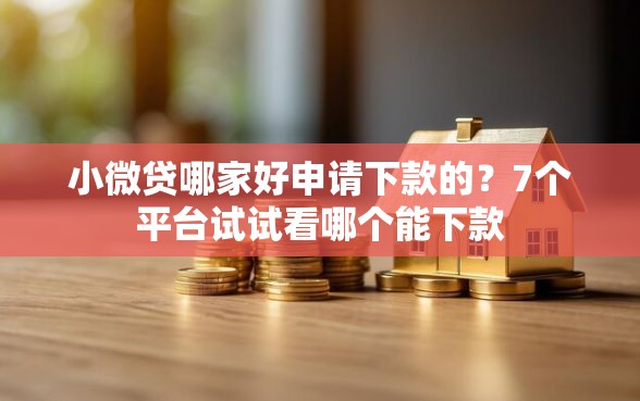 小微贷哪家好申请下款的？7个平台试试看哪个能下款