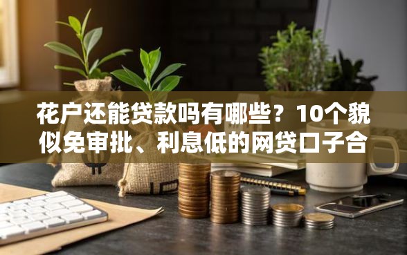 花户还能贷款吗有哪些？10个貌似免审批、利息低的网贷口子合集