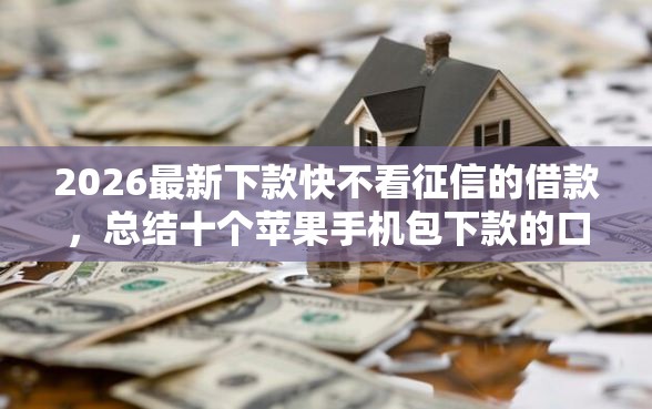2026最新下款快不看征信的借款,总结十个苹果手机包下款的口子! 2026最新下款快不看征信的借款,总结十个苹果手机包下款的口子!