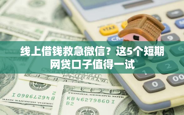 线上借钱救急微信?这5个短期网贷口子值得一试 线上借钱救急微信?这5个短期网贷口子值得一试