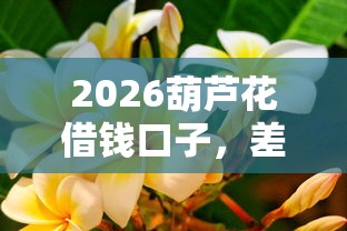 2026葫芦花借钱口子，差5000元就选这7个平台