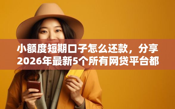 小额度短期口子怎么还款，分享2026年最新5个所有网贷平台都拒绝了还能借到一万的软件