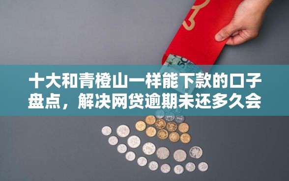 十大和青橙山一样能下款的口子盘点，解决网贷逾期未还多久会影响征信吗的问题