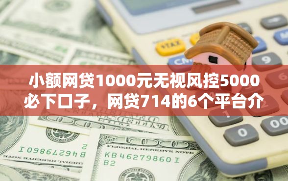 小额网贷1000元无视风控5000必下口子，网贷714的6个平台介绍