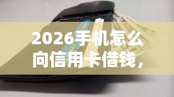 2026手机怎么向信用卡借钱，差4000元就选这7个平台