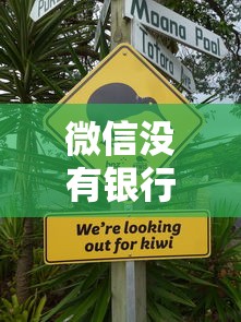 微信没有银行卡可借钱吗？这8个不看征信借钱的平台100%能借到可以试试