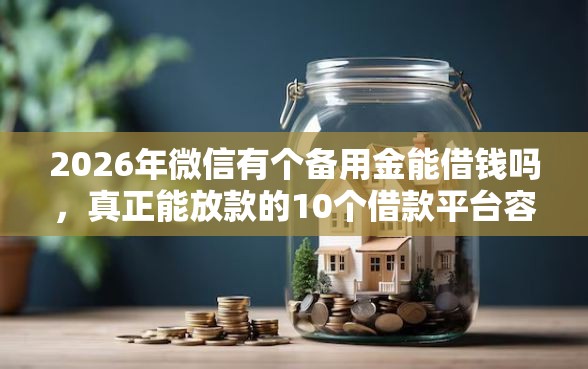 2026年微信有个备用金能借钱吗，真正能放款的10个借款平台容易借钱推荐