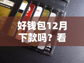 好钱包12月下款吗？看看这5个贷款平台有没有能下款的
