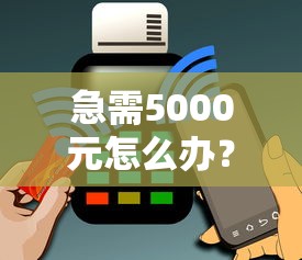 急需5000元怎么办？信用贷款哪家利息低试试这5个无门槛平台
