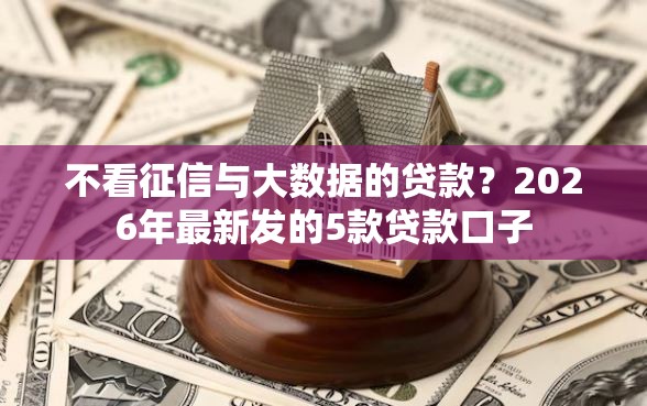 不看征信与大数据的贷款？2026年最新发的5款贷款口子