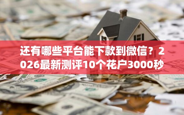 还有哪些平台能下款到微信？2026最新测评10个花户3000秒下款app