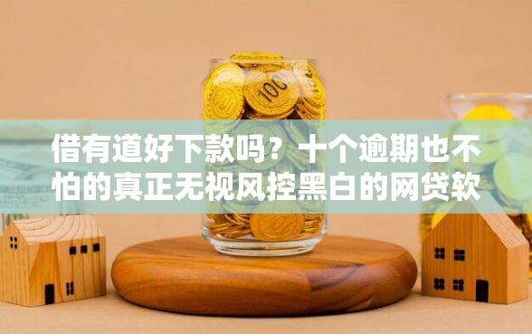 借有道好下款吗?十个逾期也不怕的真正无视风控黑白的网贷软件 借有道好下款吗?十个逾期也不怕的真正无视风控黑白的网贷软件