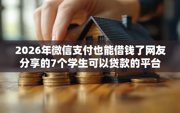 2026年微信支付也能借钱了网友分享的7个学生可以贷款的平台我觉得不错！