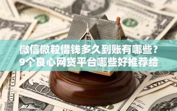 微信微粒借钱多久到账有哪些？9个良心网贷平台哪些好推荐给你