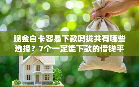 现金白卡容易下款吗拢共有哪些选择？7个一定能下款的借钱平台详解