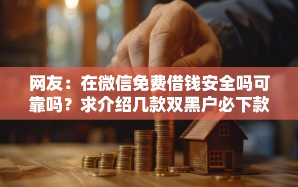 网友：在微信免费借钱安全吗可靠吗？求介绍几款双黑户必下款的口子2025