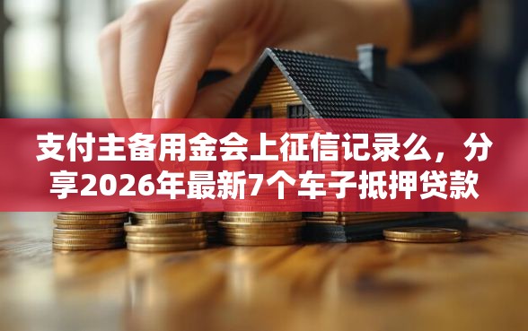 支付主备用金会上征信记录么，分享2026年最新7个车子抵押贷款平台