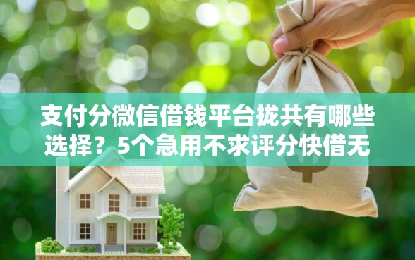 支付分微信借钱平台拢共有哪些选择?5个急用不求评分快借无忧的平台详解 支付分微信借钱平台拢共有哪些选择?5个急用不求评分快借无忧的平台详解