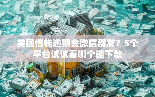 美团借钱逾期会微信群发？5个平台试试看哪个能下款