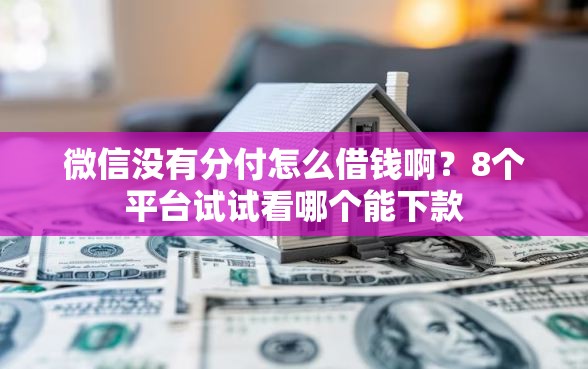 微信没有分付怎么借钱啊？8个平台试试看哪个能下款