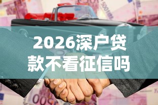 2026深户贷款不看征信吗，差1000元就选这7个平台