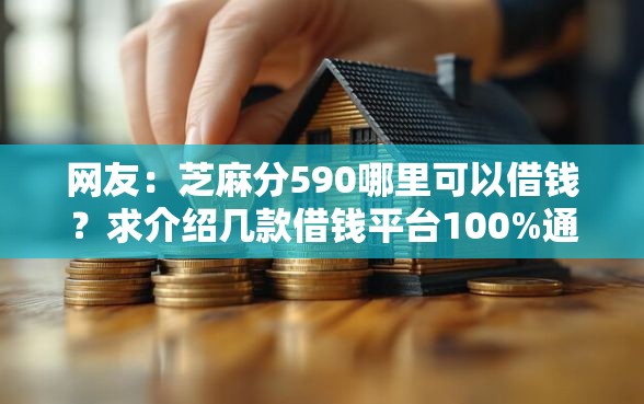网友：芝麻分590哪里可以借钱？求介绍几款借钱平台100%通过