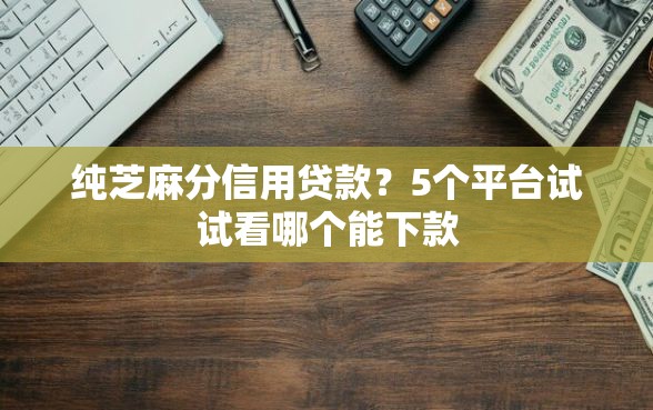 纯芝麻分信用贷款？5个平台试试看哪个能下款