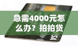 急需4000元怎么办？拍拍贷有逾期能借钱吗试试这7个无门槛平台