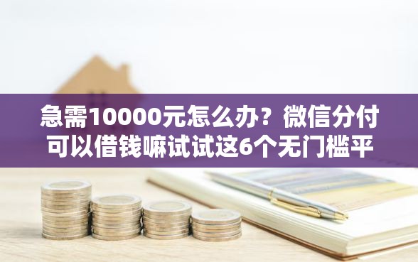 急需10000元怎么办？微信分付可以借钱嘛试试这6个无门槛平台