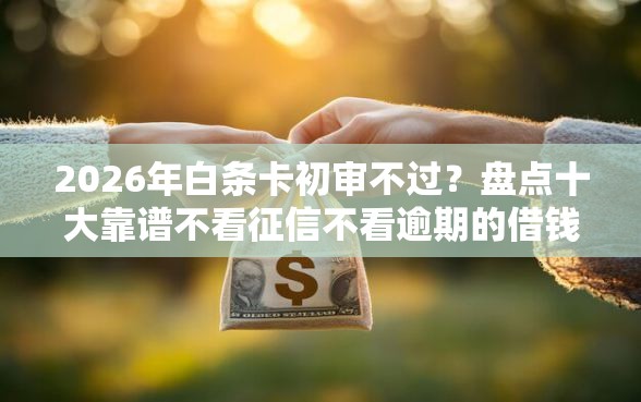 2026年白条卡初审不过？盘点十大靠谱不看征信不看逾期的借钱平台
