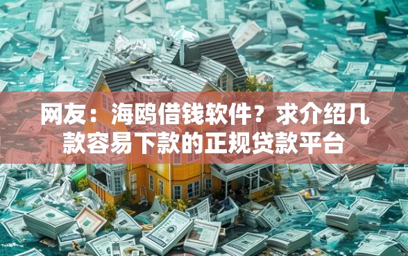 网友：海鸥借钱软件？求介绍几款容易下款的正规贷款平台