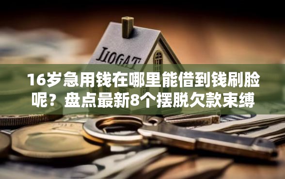 16岁急用钱在哪里能借到钱刷脸呢？盘点最新8个摆脱欠款束缚贷款新口子