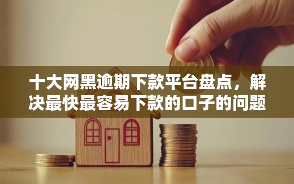十大网黑逾期下款平台盘点，解决最快最容易下款的口子的问题