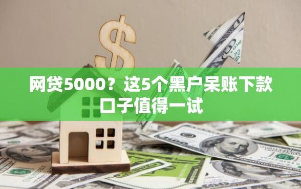 网贷5000？这5个黑户呆账下款口子值得一试