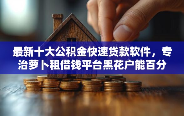 最新十大公积金快速贷款软件，专治萝卜租借钱平台黑花户能百分百下款吗