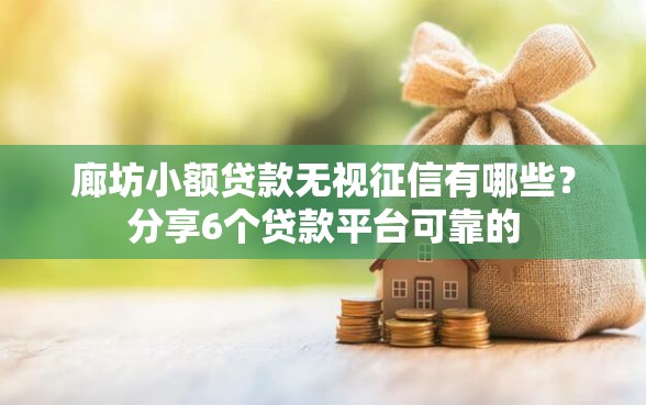 廊坊小额贷款无视征信有哪些？分享6个贷款平台可靠的