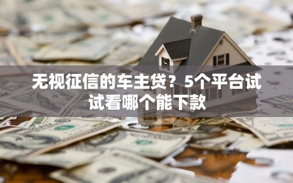 无视征信的车主贷？5个平台试试看哪个能下款
