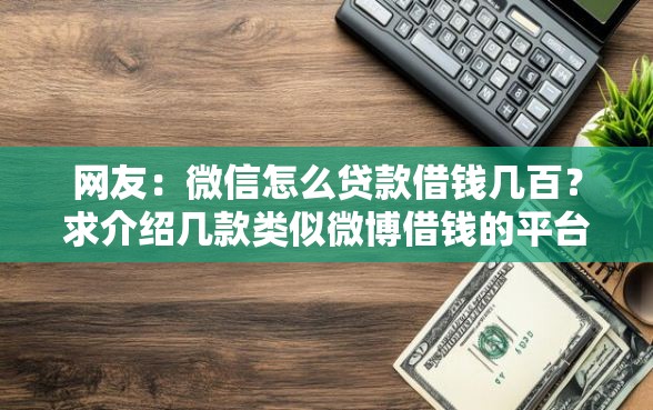 网友：微信怎么贷款借钱几百？求介绍几款类似微博借钱的平台