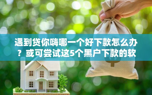 遇到贷你嗨哪一个好下款怎么办？或可尝试这5个黑户下款的软件