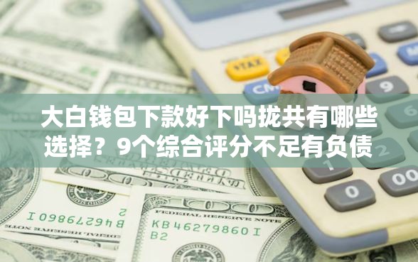 大白钱包下款好下吗拢共有哪些选择？9个综合评分不足有负债都能下款口子详解