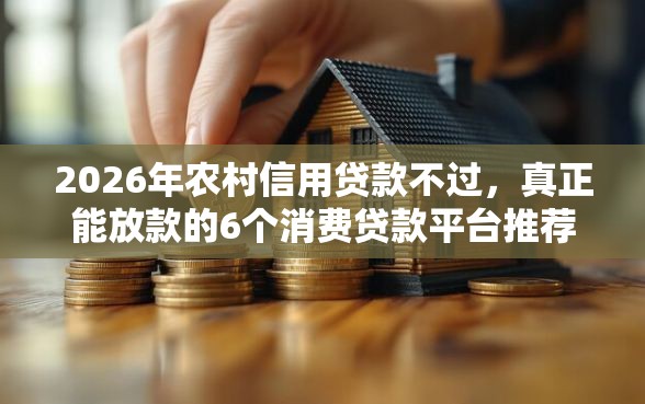 2026年农村信用贷款不过,真正能放款的6个消费贷款平台推荐 2026年农村信用贷款不过,真正能放款的6个消费贷款平台推荐