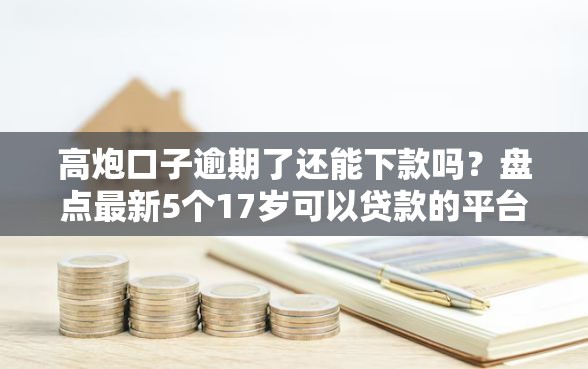 高炮口子逾期了还能下款吗？盘点最新5个17岁可以贷款的平台