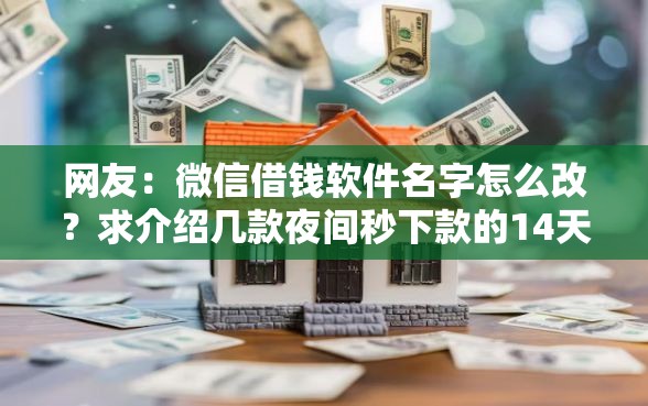 网友：微信借钱软件名字怎么改？求介绍几款夜间秒下款的14天口子