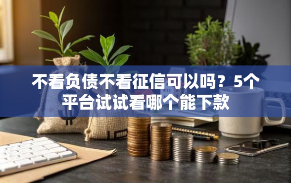 不看负债不看征信可以吗？5个平台试试看哪个能下款