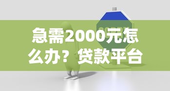 急需2000元怎么办？贷款平台的现试试这7个无门槛平台