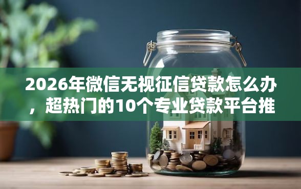 2026年微信无视征信贷款怎么办，超热门的10个专业贷款平台推荐