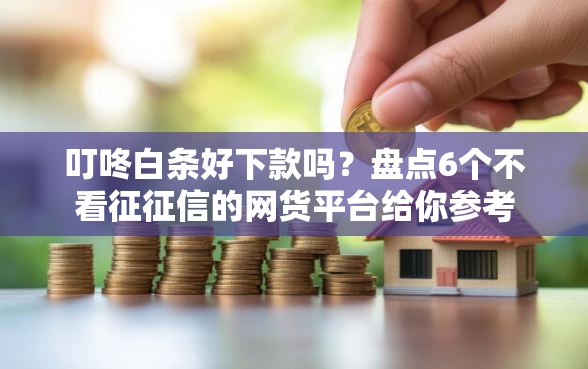 叮咚白条好下款吗？盘点6个不看征征信的网货平台给你参考