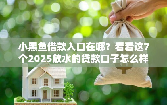 小黑鱼借款入口在哪？看看这7个2025放水的贷款口子怎么样