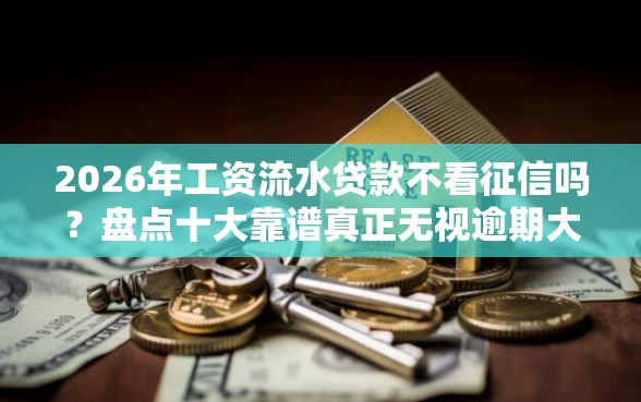 2026年工资流水贷款不看征信吗?盘点十大靠谱真正无视逾期大数据的网贷软件 2026年工资流水贷款不看征信吗?盘点十大靠谱真正无视逾期大数据的网贷软件