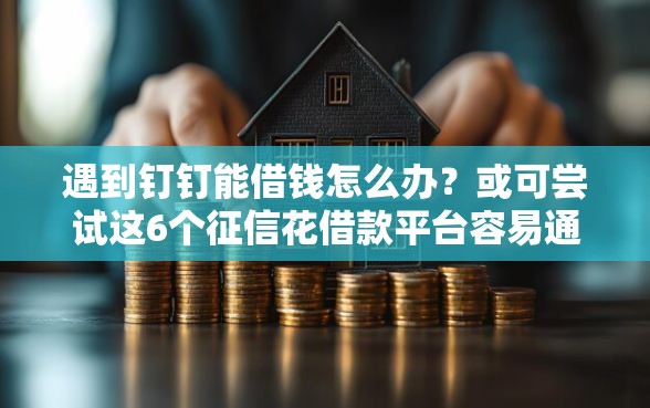 遇到钉钉能借钱怎么办？或可尝试这6个征信花借款平台容易通过